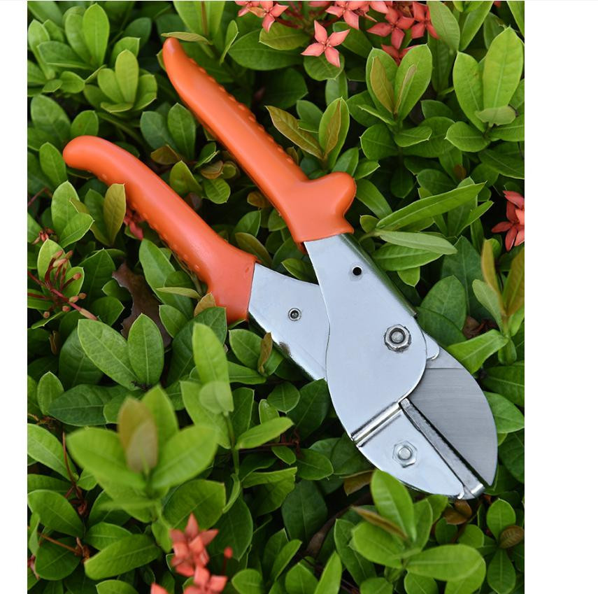 FATCOOL Bypass Gartenschere aus Stahl in Silber und Orange mit Anti-Rutsch-Griff für Gartenbau und Obstbäume - Bild 3