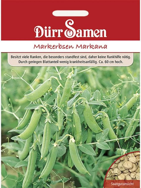 Dürr Markana Markerbsen Saatgut 200 g - Bild 1