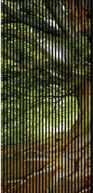 FN Acustico Akustikplatte Baum mit PET und MDF Folierung, Bunt, B/T/H: 113,3 x 1,9 x 240 cm - Bild 1