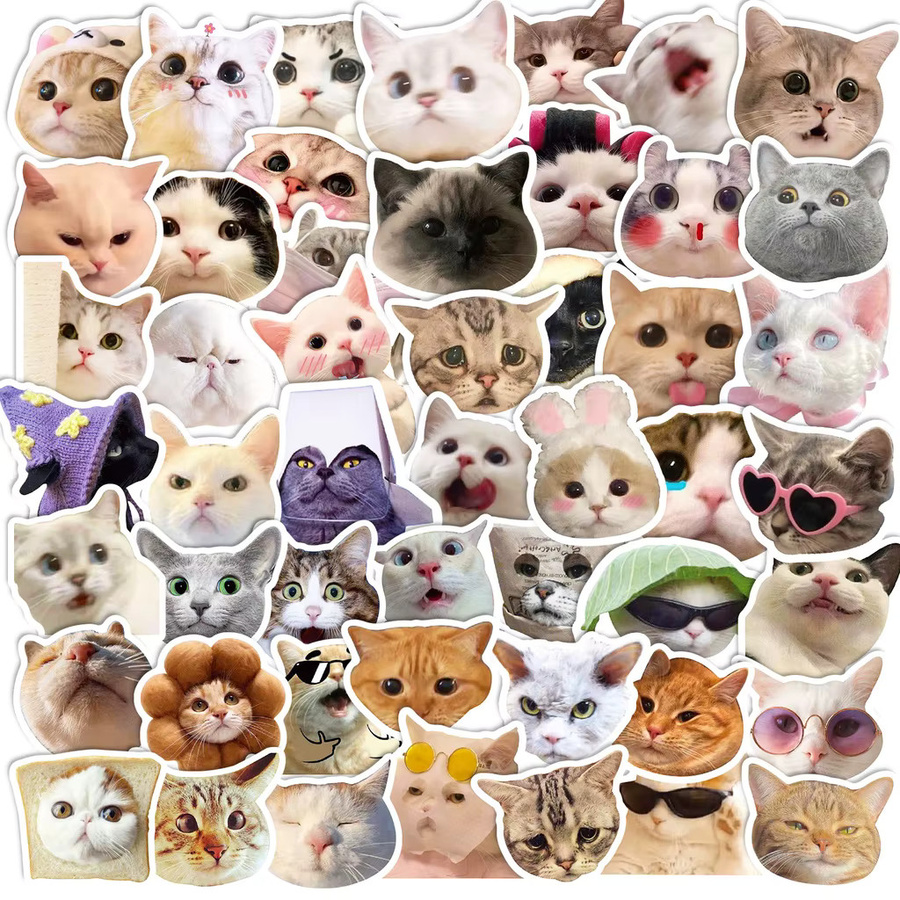 50 Stück bunte Katzen-Meme-Aufkleber von Papery Pop Store für Laptop, Handyhülle und Gepäck - Bild 3
