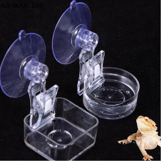 Hoeaden Wassernapf für Reptilien mit Saugnapf, transparentes Futtertablett für Geckos, Eidechsen und Spinnen - Bild 1