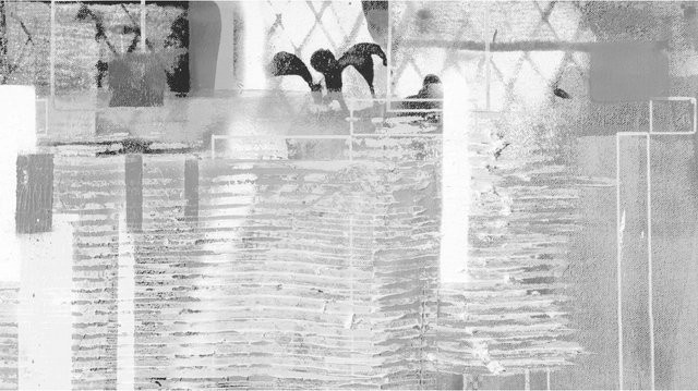 Komar Fototapete Vlies Rhombus Hiding B: 500 cm, H: 280 cm - Bild 1
