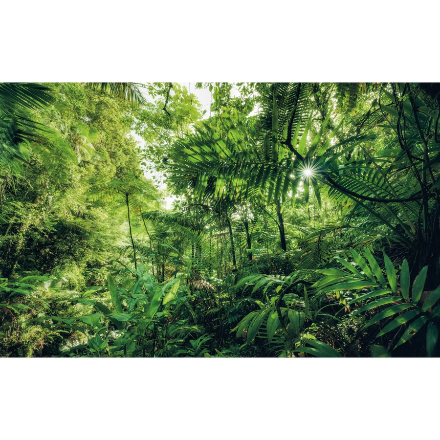 Komar Fototapete Vlies Into The Jungle in Grün, B: 400 cm, H: 250 cm - Bild 2