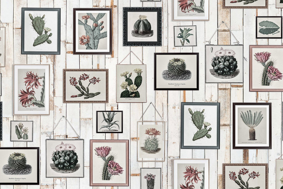 Rebel Walls Mural Cactus Wall Art in Beige und Multicolour mit floralem Sommerdesign - Bild 4