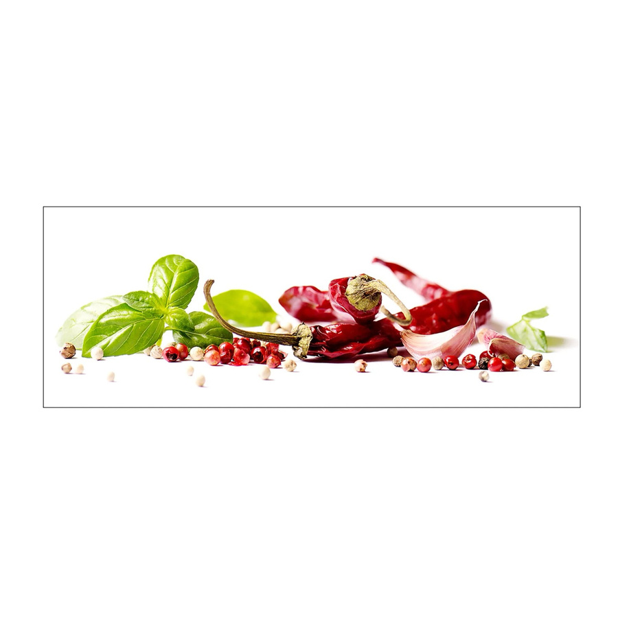 MySpotti Küchenrückwand Profix Cucina Herbs und Spice in Paprika Rot, B/H: 160 x 60 cm, Aluminium - Bild 1