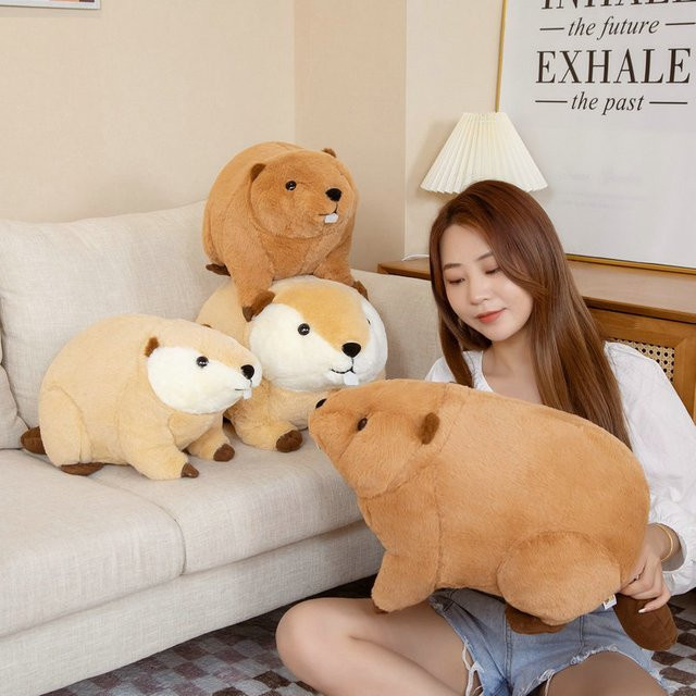 Nutria Peluche Spielzeug, Biber Plüsch Kissen, 1-teiliges Set - Bild 1
