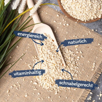 Lyra Pet Erdnusskerne weiß gehackt 25 kg - Bild 2
