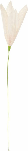 Rico Design Papierblume Krokus in Creme - Bild 1