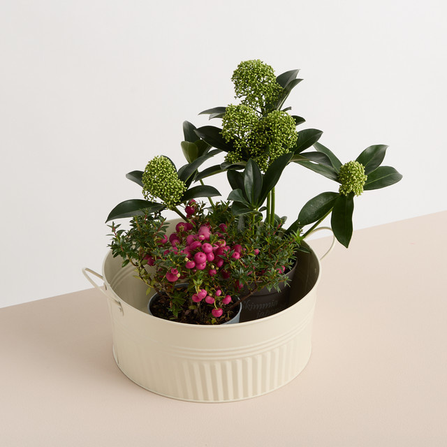 Zinkwanne BLUME2000 in Beige, Durchmesser: 24 cm - Bild 1