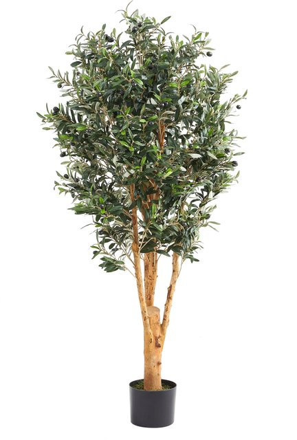 Künstlicher Olivenbaum Lysandra von Aplanta, Höhe: 150 cm - Bild 1