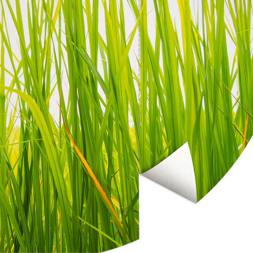 K&L Wall Art Vliestapete Runde Vliestapete Hohes Gras Grüne Wiese, mehrfarbig, matt - Bild 2