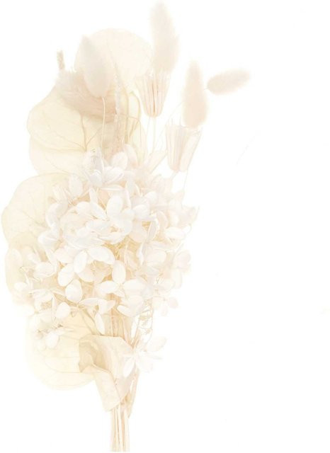 Rico Design Trockenblumenstrauß aus Naturmaterial in Natur-Weiß, Höhe: 30 cm - Bild 1