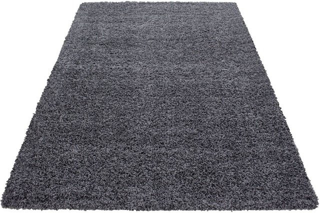 Ayyildiz Hochflorteppich Life Shaggy-Stil Grau B/L: 60 x 110 cm - Bild 2