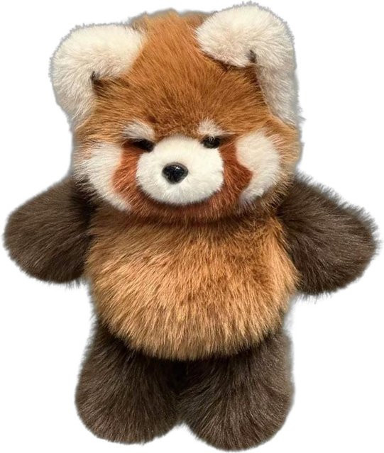 Binchi Fitness Kawaii Waschbär Plüschtier, ab 14 Jahre - Bild 1