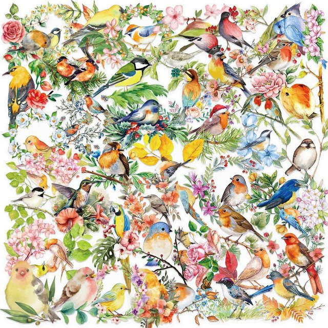 50 Stück wasserfeste Aquarell-Vogel-Aufkleber aus transparentem PET für Scrapbooking und Dekoration von Notebooks oder Gitarren von AnimeWorlds Store, Mehrfarbig - Bild 1