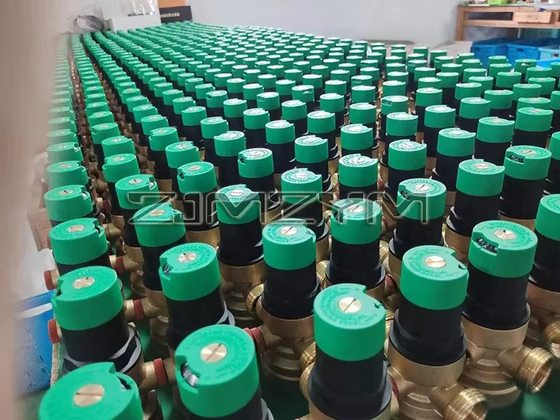 ZJMZYM Einstellbarer Wasser Druckminderer mit integriertem Filter und Messgerät als Vorfilter, DN15/DN20 - Bild 3