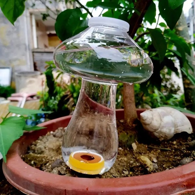 Automatischer Bewässerungseinsatz in Herzform für Pflanzen, transparenter Tropf-Bewässerungssprüher zur Wasserversorgung von Blumen und Pflanzen - Bild 1