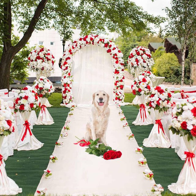 Rutschfester weißer Teppich für Innen- und Außenbereiche ideal für Hochzeiten und Feierlichkeiten - Bild 1