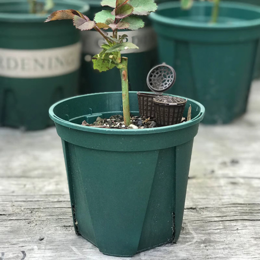 Robuster Düngerkorb aus Kunststoff für Topfpflanzen im Garten und auf dem Balkon - Bild 2