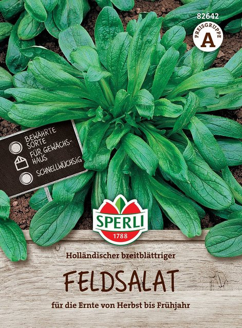 SPERLI Feldsalat-Samen Holländischer breitblättriger Gemüsesaat für den Herbst - Bild 1