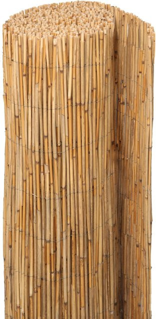 Floraworld Schilfrohrmatte aus Schilfrohr und Eisendraht, B: 90 cm, L: 600 cm - Bild 1