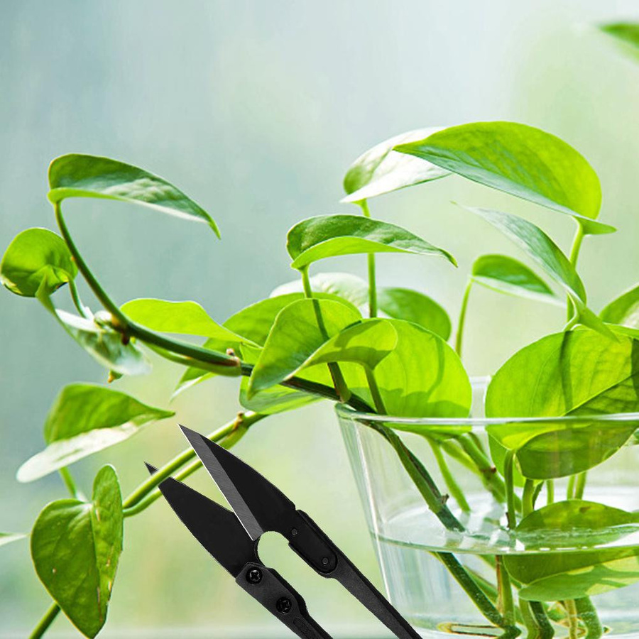 Igeteck Bonsai-Gartenschere aus Stahl und Kunststoff in Schwarz für Knospen und Blätter - Bild 4