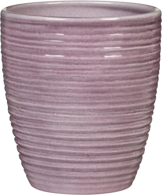 Scheurich Orchideengefäß Malva aus Glas mit Rillenstruktur, Durchmesser: 12,3 cm, Höhe: 14 cm - Bild 1