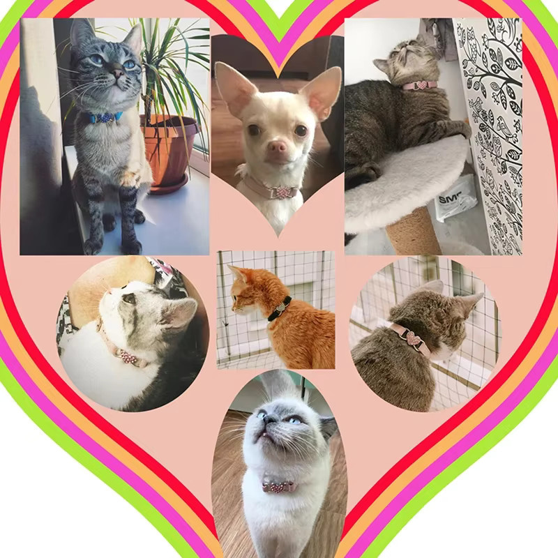 DUTRIEUX Katzenhalsband, Herzanhänger und Glocke, Samtmaterial - Bild 3