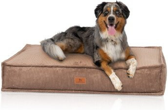 Knuffelwuff Hundekissen Lesedi aus Cord in Braun, B: 155 cm, B: 90 cm - Bild 1