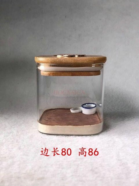 Binchi Outdoor Product Heuschreckenkäfig Heuschreckenglas, Insekten-Ökobox - Bild 1