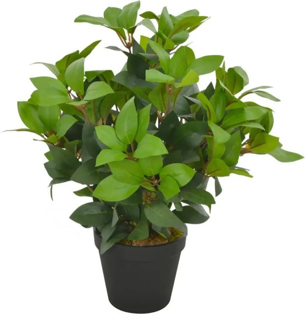 furnicato Künstlicher Lorbeerbaum in Grün mit Topf, Höhe: 40 cm - Bild 1