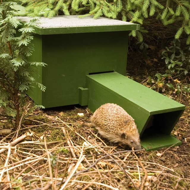 CJ Wildlife Igel-Unterschlupf aus Holz in Grün - Bild 1