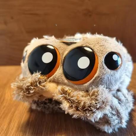 Lucas Die Spinne Und Freund Findley Flie, Plüschpuppe, ab 6 Jahren - Bild 1