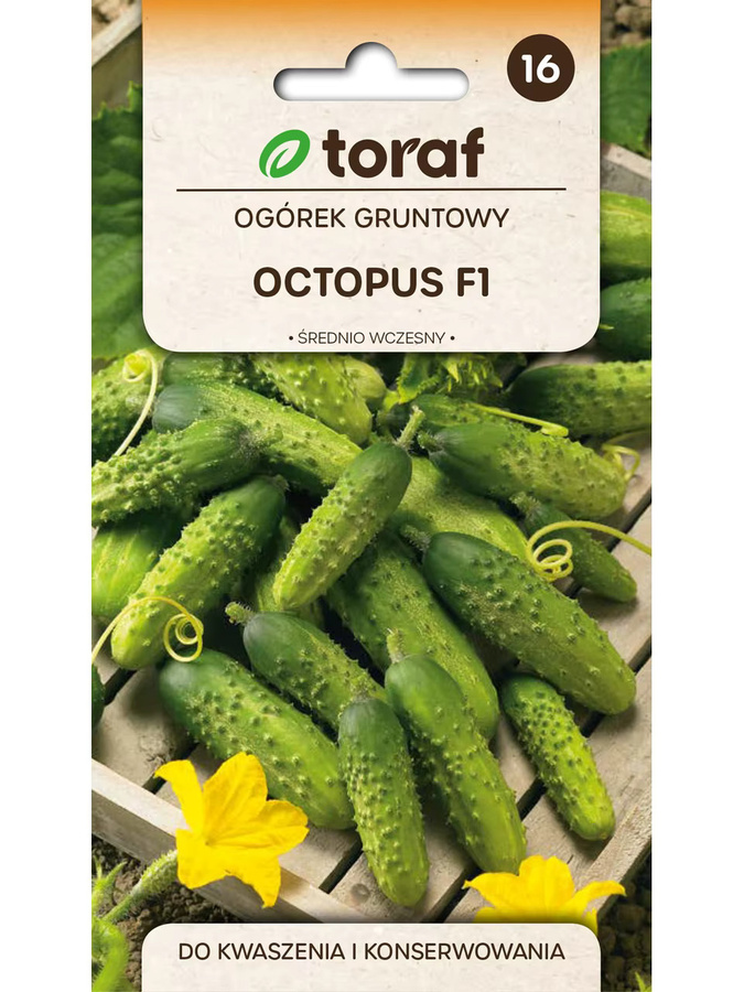 Toraf Gurken Samen 1 g - Bild 2