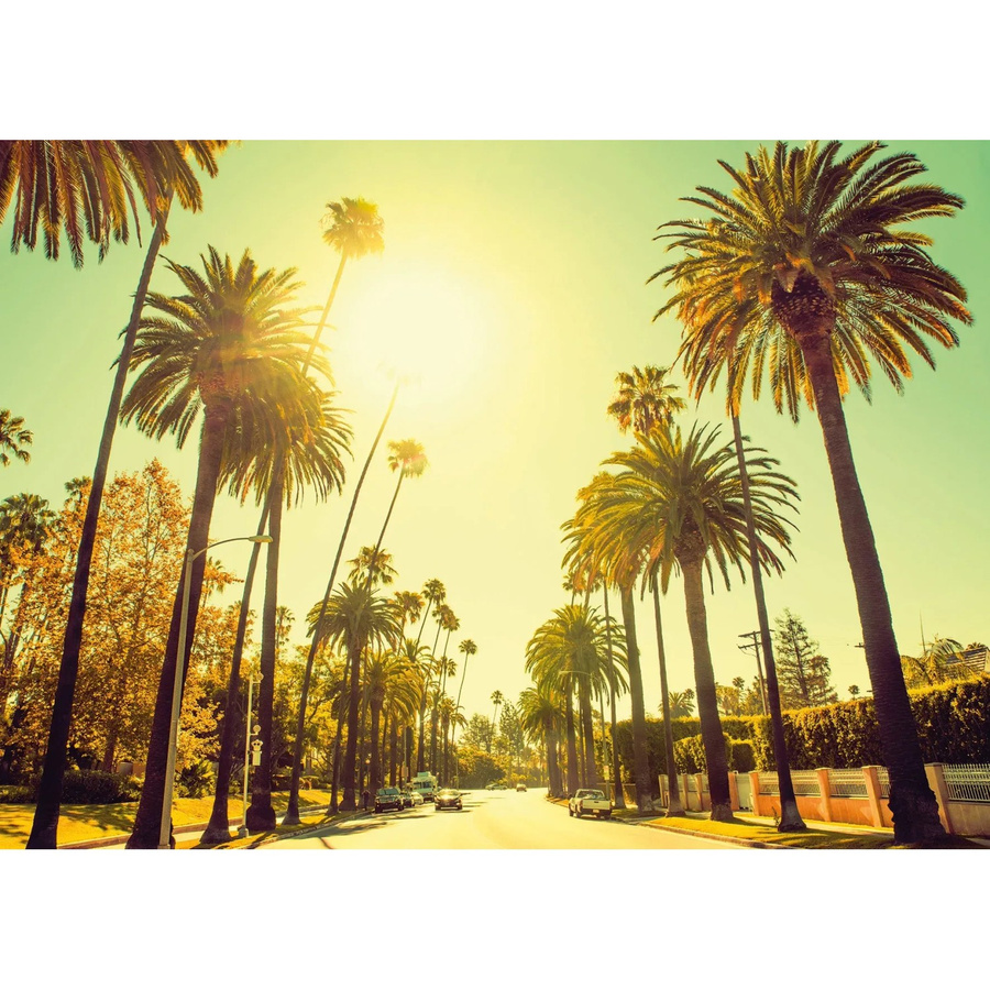Komar Wandbild Palm Alley Paper Poster Multicolor B: 70 cm, H: 50 cm - Bild 2