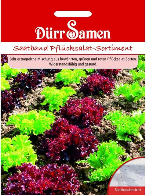 Dürr Pflücksalat-Sortiment Saatgut im Samen Saatband - Bild 1