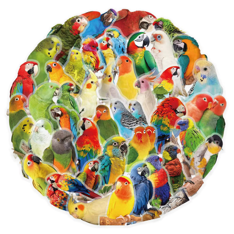53 Stück Papageienmuster Aufkleber in Multicolour zur Dekoration von Tagebüchern und Sammelalben von RecordingYourLife Store - Bild 2