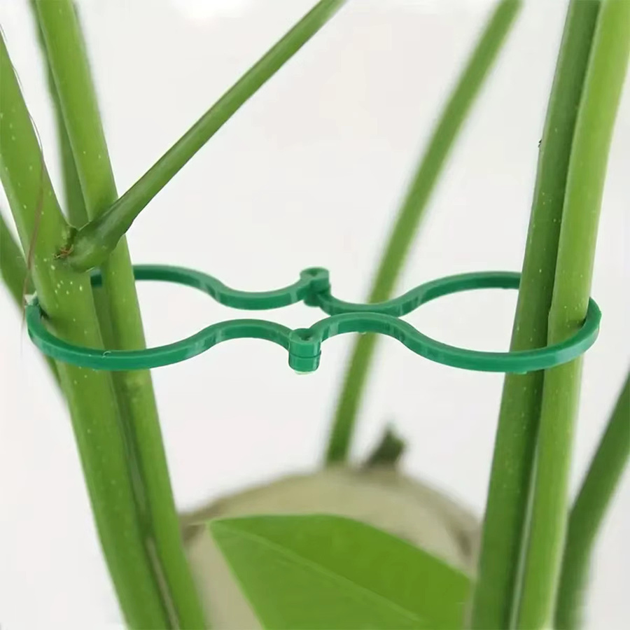 100 Stück Pflanzenbefestigungs-Clips aus Kunststoff in Grün für Garten und Outdoor - Bild 4