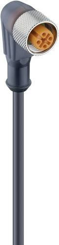 Lumberg Automation 11442-10 Sensor-Aktor-Steckverbinder M12 Buchse gewinkelt grau 4-polig 10,0 m - Bild 1