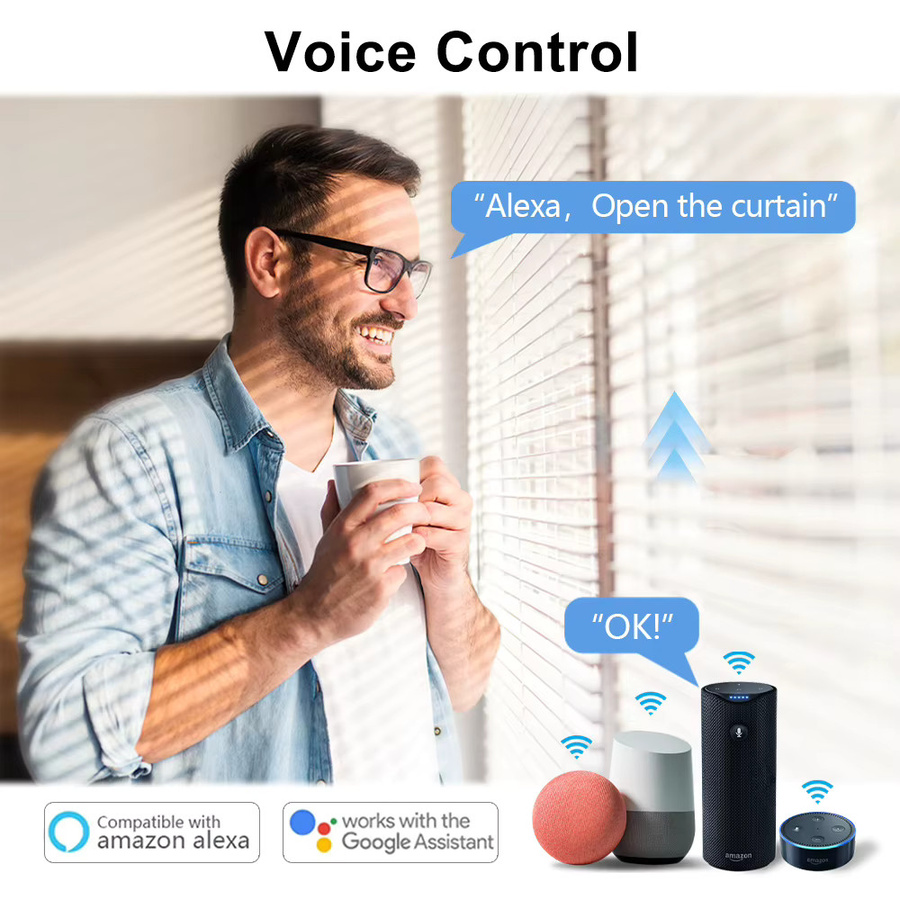 LoraTap Smart Life WiFi Rohrmotor für Jalousien und Vorhänge mit Fernbedienung, Sprachsteuerung via Google Assistant und Alexa, Schwarz - Bild 2