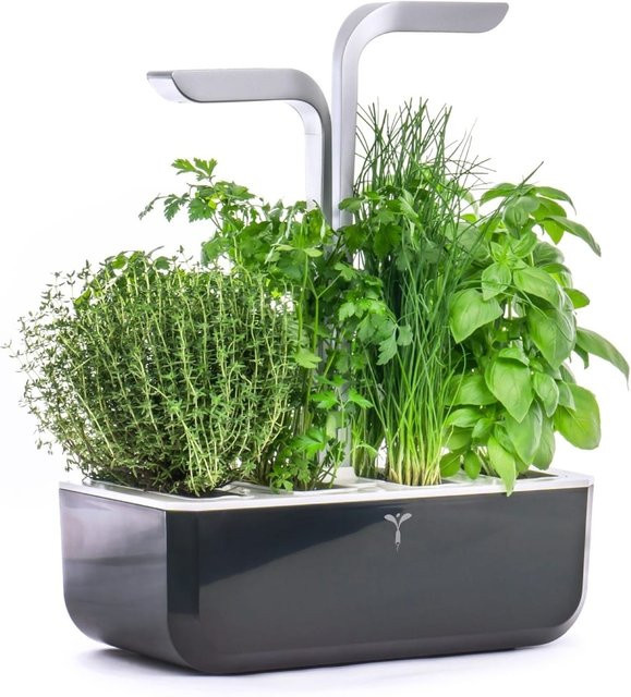 Véritable SMART Soft Pflanzgefäß für Zimmerpflanzen in Schwarz - Bild 1