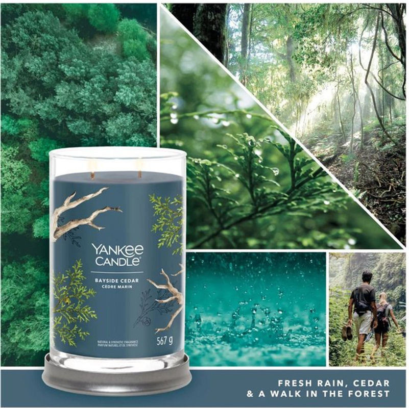 YANKEE CANDLE Duftkerze Bayside Cedar in Blau aus Sojawachs und Paraffin - Bild 1