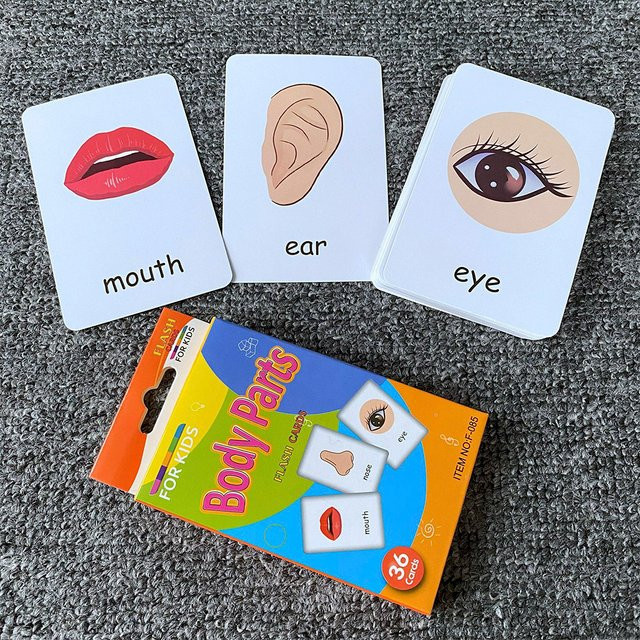 Lee's Sharing Tierform Karteikarte Montessori Lernspielzeug, 36-teiliges Set - Bild 1