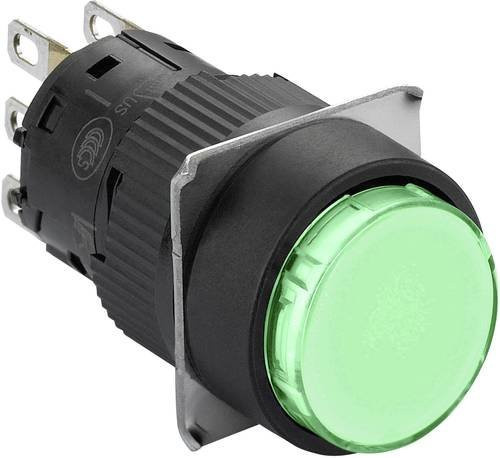 Schneider Electric XB6EAA31P Drucktaster grün IP65 tastend aus Kunststoff - Bild 1