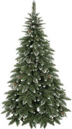 SPRINGOS Premium Weihnachtsbaum Diamantkiefer in Winter-Optik mit Kunstschnee und echten Zapfen, Höhe: 150 cm, Farbe: Grün/Weiß - Bild 1