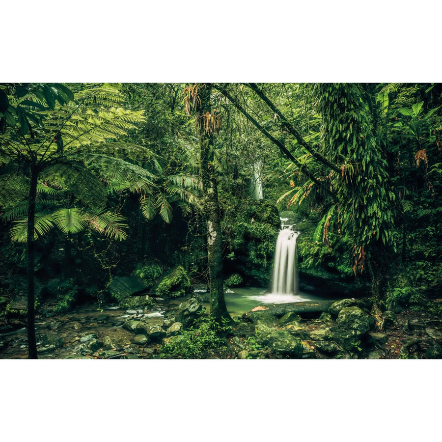 Komar Fototapete Vlies My Hidden Treasure B: 400 cm, H: 250 cm - Bild 2