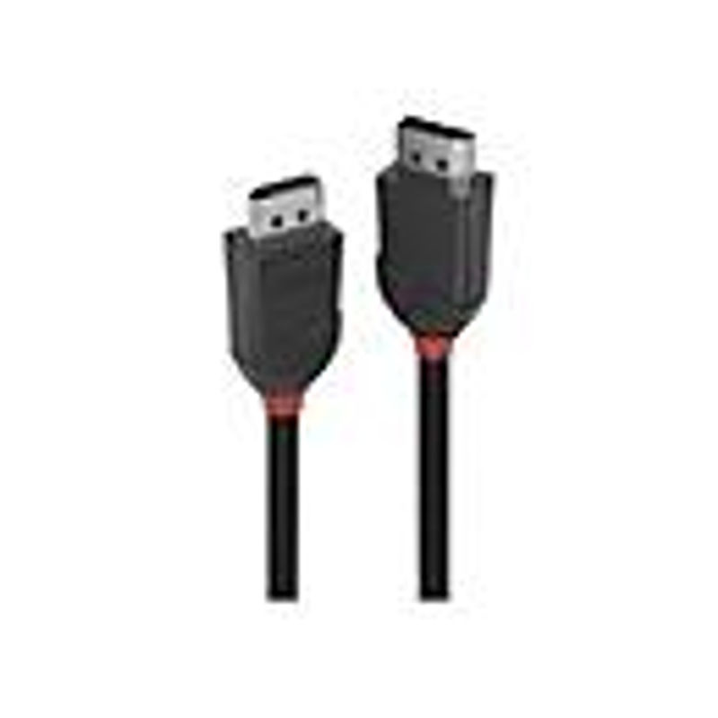 Lindy DisplayPort Anschlusskabel Schwarz, Länge: 0,5 m - Bild 2