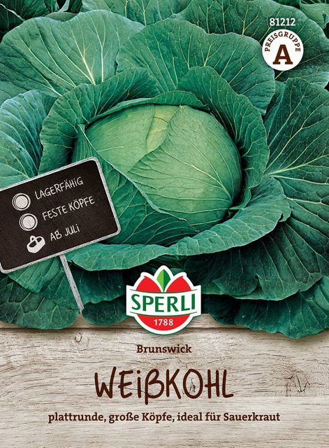 SPERLI Weißkohl-Samen Brunswick - Bild 1