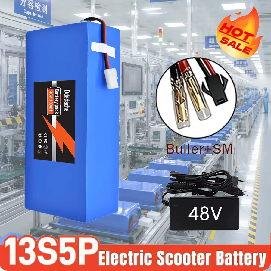 Ddadache 13S5P Lithium-Ionen-Akku 48 V 100 Ah mit intelligentem BMS für elektrische Maschinen von 500 bis 1000 W inklusive Ladegerät, Blau - Bild 6