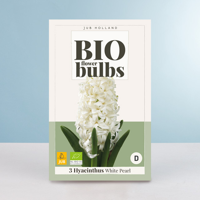 BIO Hyazinthe White Pearl mit 3 Zwiebeln für dein Staudenbeet oder den Balkonkasten - Bild 1